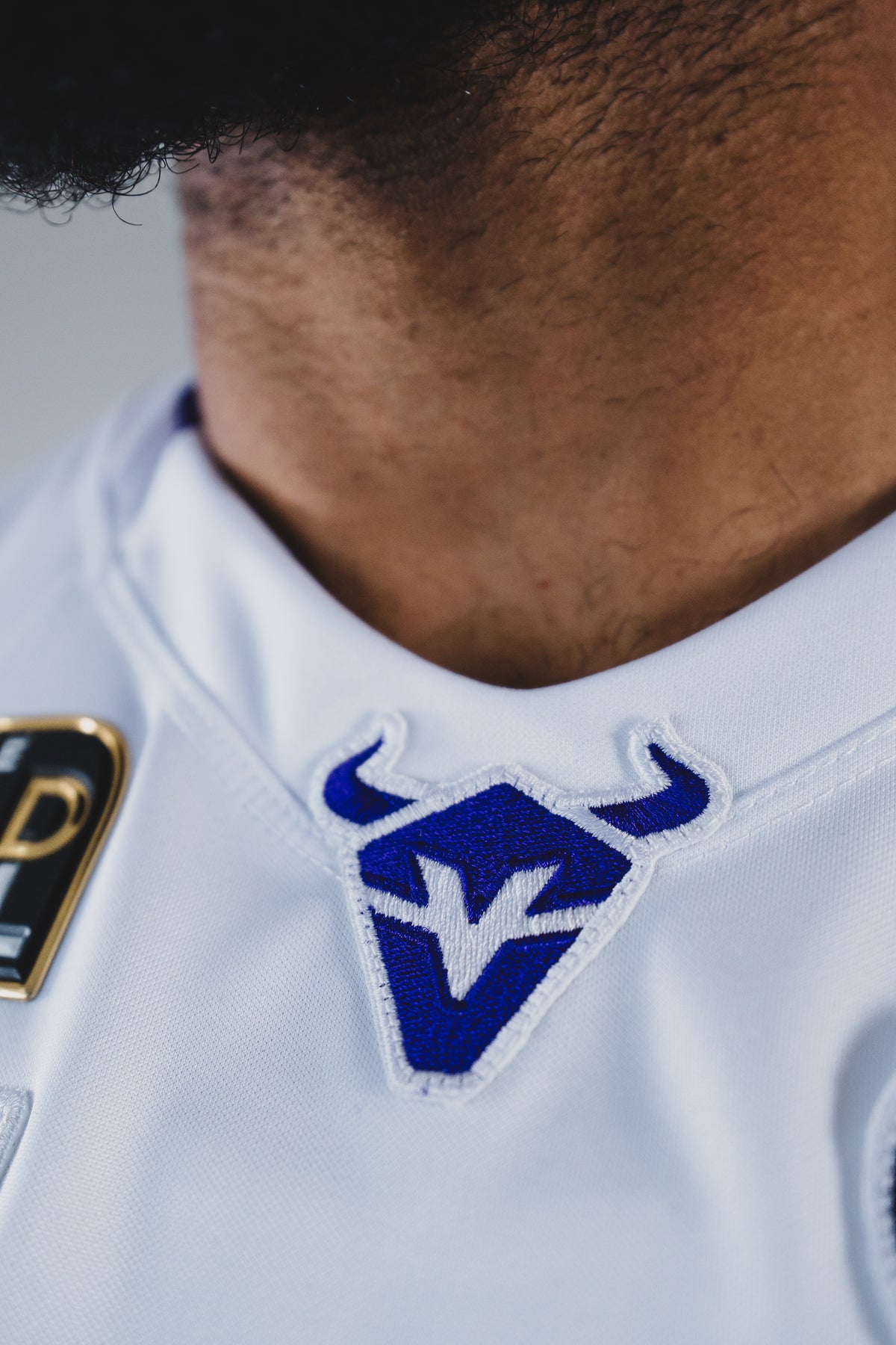 Gold Bowl 2026 - Fan Jersey Vienna Vikings