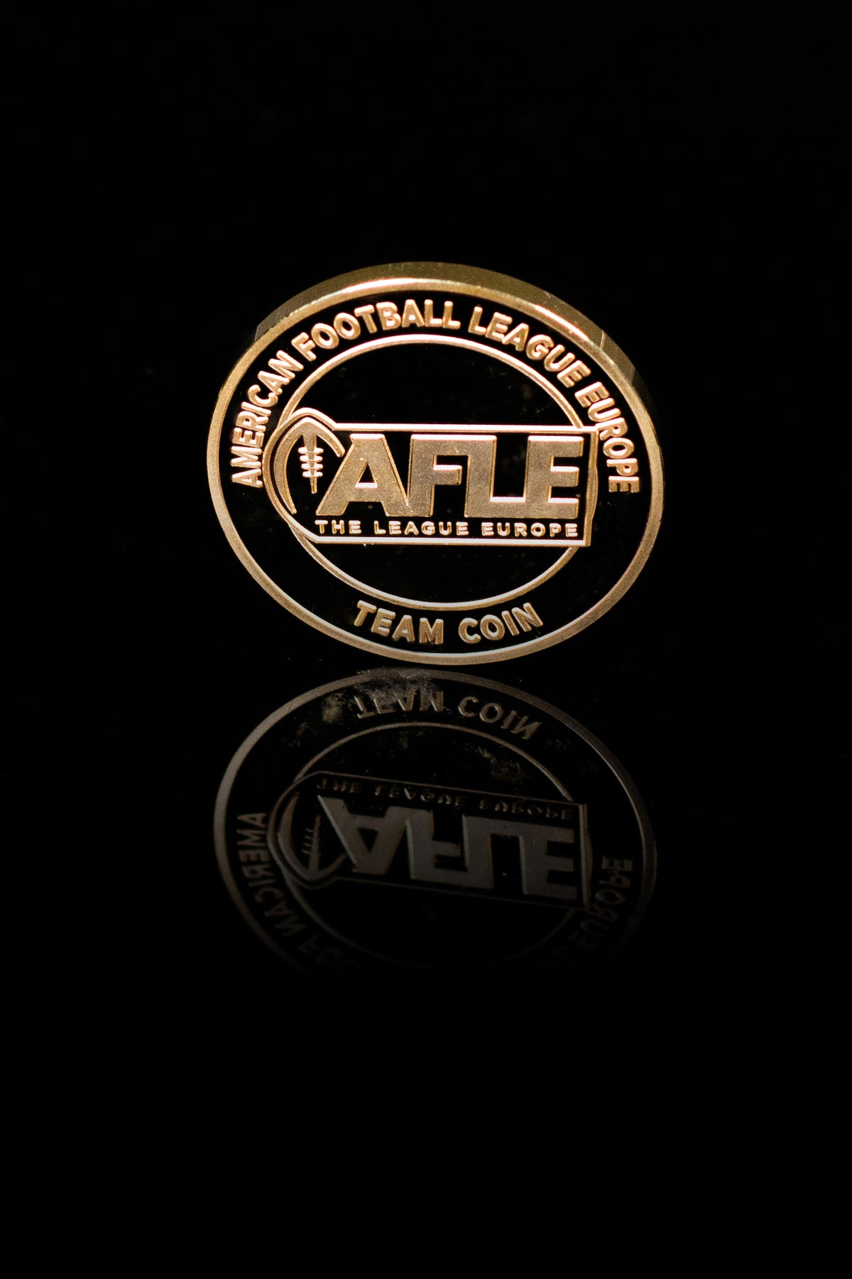 Team Coin Alpine Rams