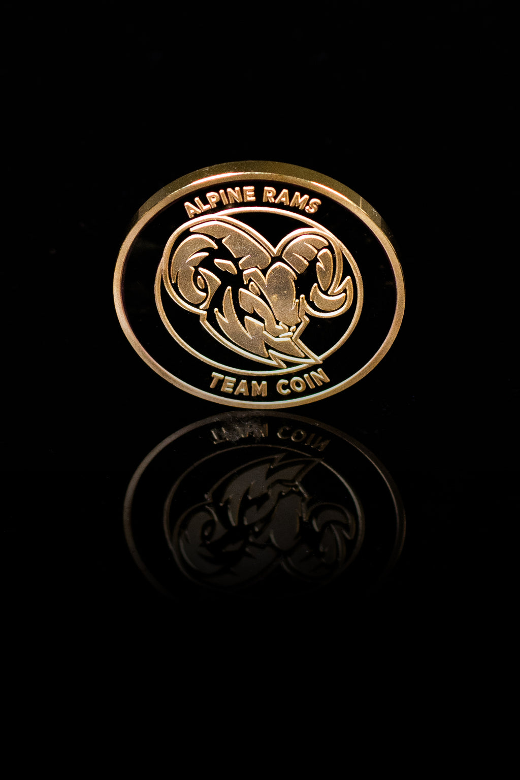Team Coin Alpine Rams