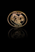 Team Coin Alpine Rams