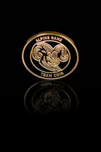 Team Coin Alpine Rams