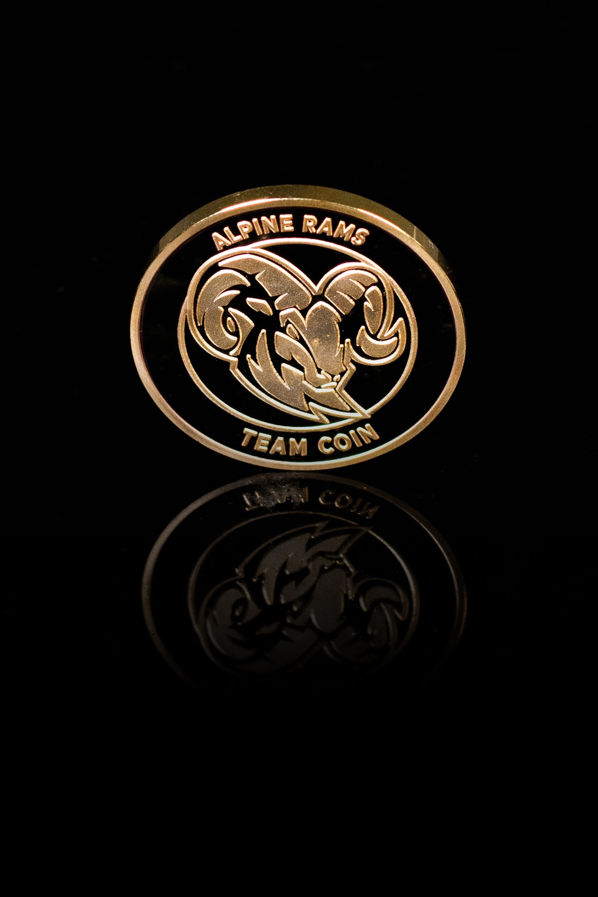 Team Coin Alpine Rams