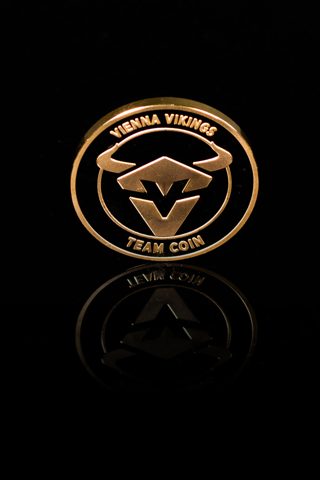 Team Coin Vienna Vikings