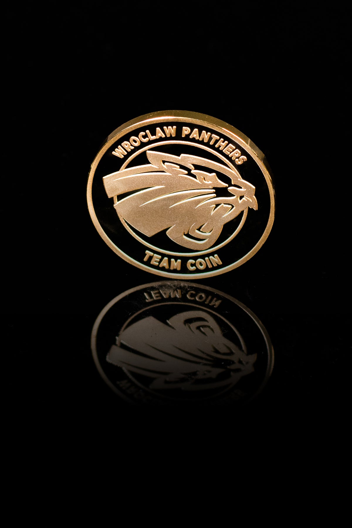 Team Coin Wroclaw Panthers