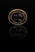 Semi Final Vienna Vikings/London Warriors Coin